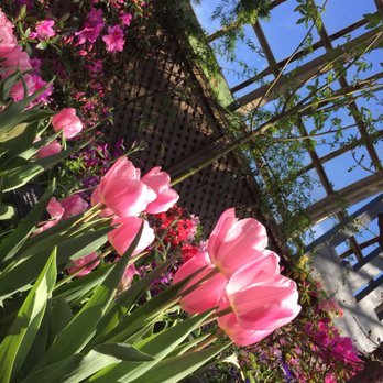 Lincoln Park Conservatory - Parks Near Me - Chicago, Illinois