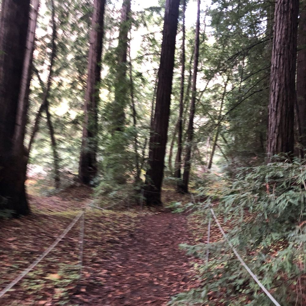 Fernwood Resort - Hiking trails - Hotels Near Me - Big Sur, California Fernwood Resort - Hiking trails - Hotels Near Me - Big Sur, California