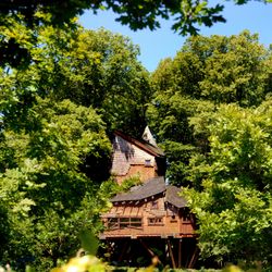 Treehouse Restaurant - Treehouse