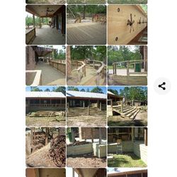 Bo’s Anything & Everything