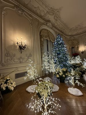 The Elms by null
