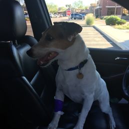 Leaving Salt River Vet's office Leaving Salt River Vet's office
