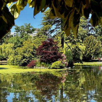 Beacon Hill Park - Parks Near Me - Victoria, British Columbia