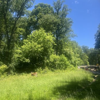 ROCK CREEK PARK - Updated August 2025 - 456 Photos & 134