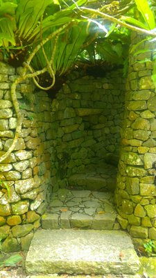 Tropical Spice Garden by null