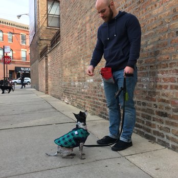 Koppel’s K9s - Dad has focus! He is now applying the techniques in a real life situation. Way to go! - Pet Training Near Me Koppel’s K9s - Dad has focus! He is now applying the techniques in a real life situation. Way to go! - Pet Training Near Me