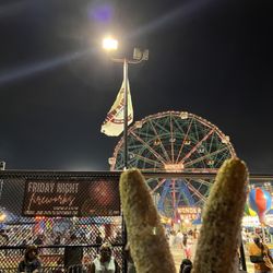 Deno's Wonder Wheel Amusement & Kiddie Park