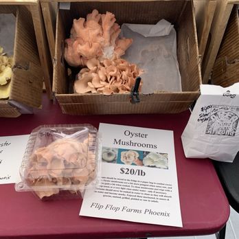 Uptown Farmers Market - Mushrooms - Farmers Market Near Me - Phoenix, Arizona