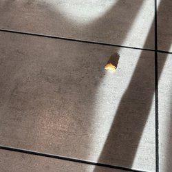 McDonald's - Food on the floor