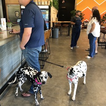 Local Roots Kombucha - Bar - Kombucha Near Me - Vista, California