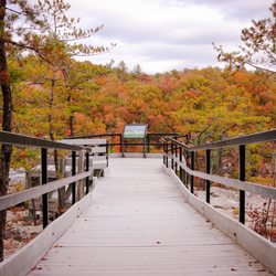 Obed Wild and Scenic River - Lily Bluff Overlook