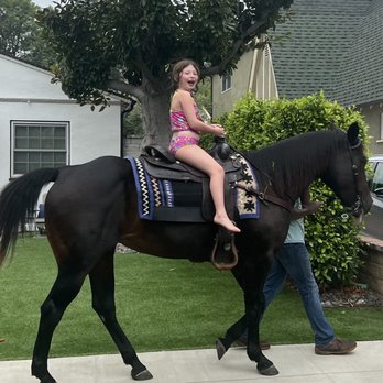 Mr. Todd's Pony Parties - Party & Event Planning Near Me