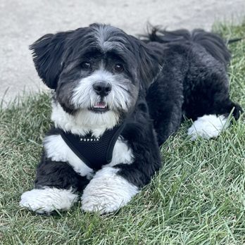 Kriser's Natural Pet - Pet Stores Near Me - Wilmette, Illinois