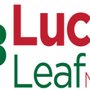 Photo of Lucky Leaf Media & Website Design