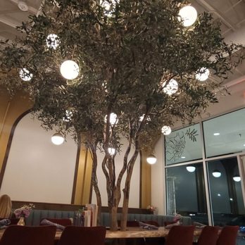 Naan & Curry - Beautiful tree in the middle of the restaurant - Indian Near Me - Henderson, Nevada Naan & Curry - Beautiful tree in the middle of the restaurant - Indian Near Me - Henderson, Nevada