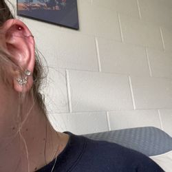 Sacred Images Tattoo And Piercing - Piercing I got done