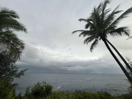 Kehena Black Sand Beach by null