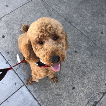 Pet Partners - Pet Stores Near Me - Long Beach, California Pet Partners - Pet Stores Near Me - Long Beach, California