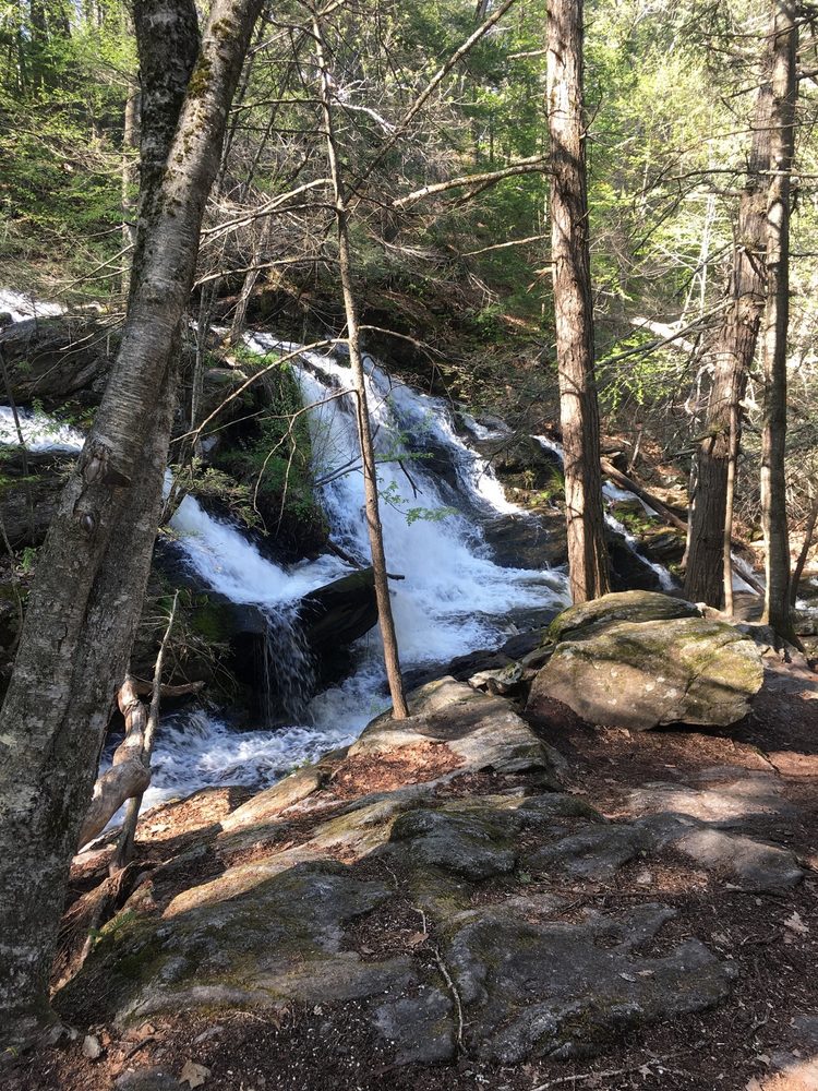 Garwin Falls Logo
