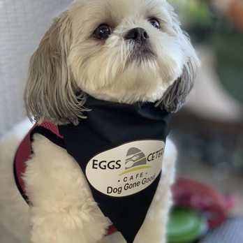 Eggs-Cetera Cafe - American Near Me - Lake Worth, Florida