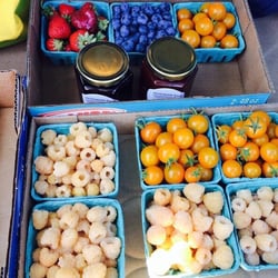 Oysterponds Farm - Golden raspberries!