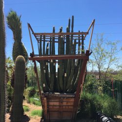 Tree Relocators - Organ Pipe Cacti available
