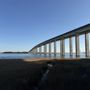 Photo of Daniel Island Trails