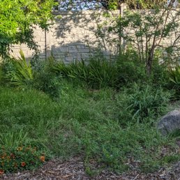 Grass and weed, this is a month and a half after services began Grass and weed, this is a month and a half after services began