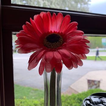 Artisan Coffee House - A window seat - Coffee & Tea Near Me - Scottsville, New York