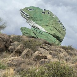 Frog Rock - It's Frog Rock!