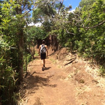 Aiea Loop Trail - Hiking Near Me - Aiea, Hawaii