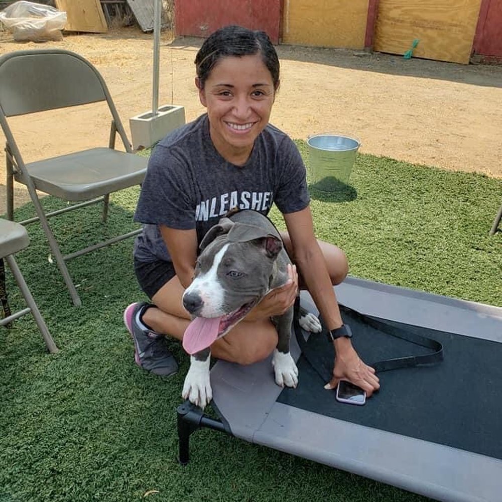 Diamond Dogs - Pet Training Near Me Diamond Dogs - Pet Training Near Me