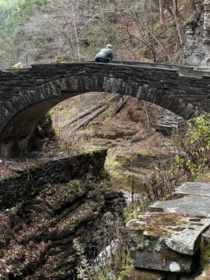 Robert H. Treman State Park by null