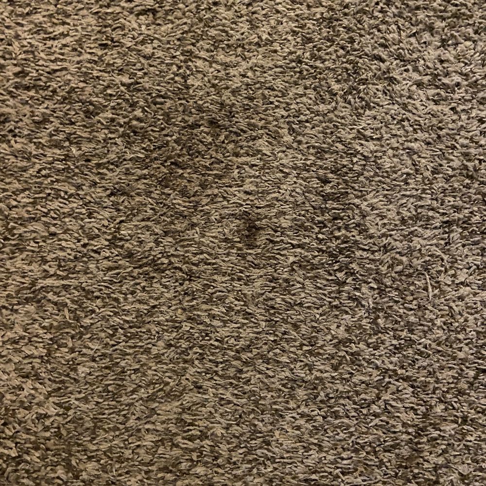 Dependable Carpet Cleaning - Carpet not even damp. Service not performed - Carpet Cleaning Near Me Dependable Carpet Cleaning - Carpet not even damp. Service not performed - Carpet Cleaning Near Me