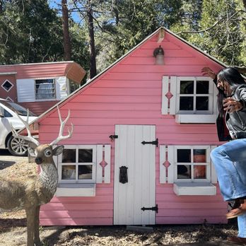 Hicksville Pines - This room was for mythical creatures of diminutive size, but I am wildly intolerant of such beings and spent a lot of time terrorizing them. - Hotels Near Me - Idyllwild, California