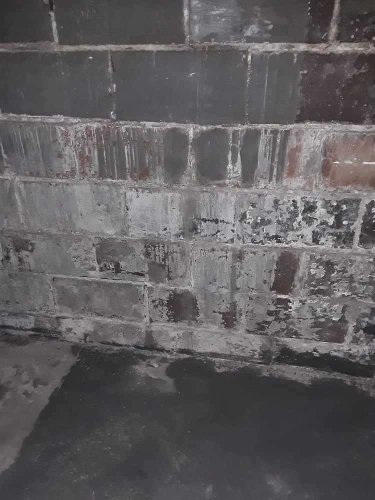 Smart Environmental Engineering Consulting and Construction - mold inspector in Youngstown, OH