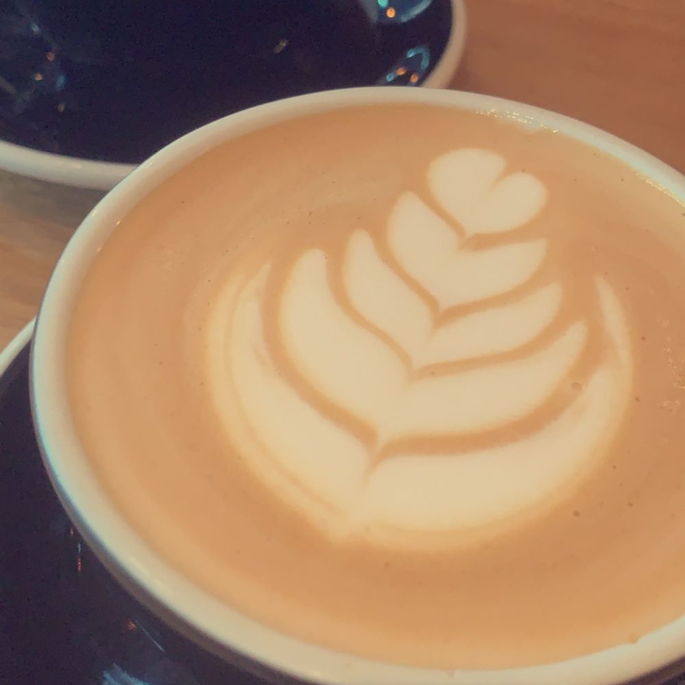 Cappuccino and Mocha Cappuccino and Mocha