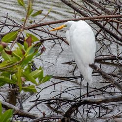 Marsh Trail