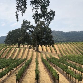 Sonoma Valley Wine Trolley - Wineries Near Me - Sonoma, California Sonoma Valley Wine Trolley - Wineries Near Me - Sonoma, California