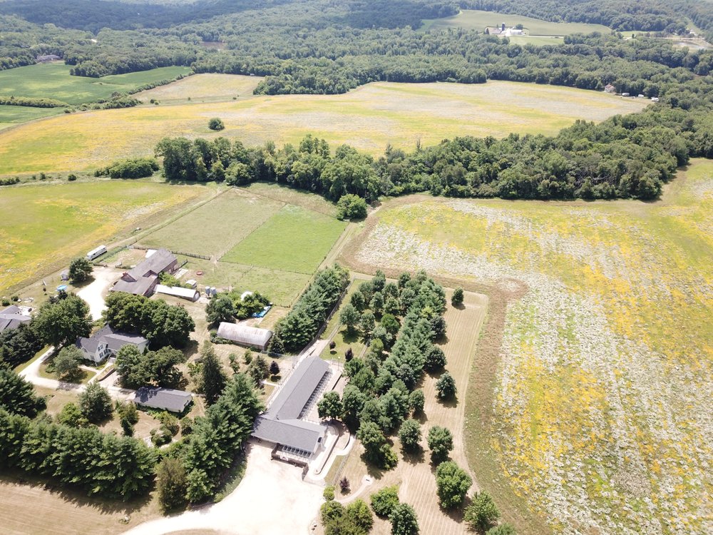 BEDS & BISCUITS BOARDING KENNEL Updated August 2024 1986 Paris Rd
