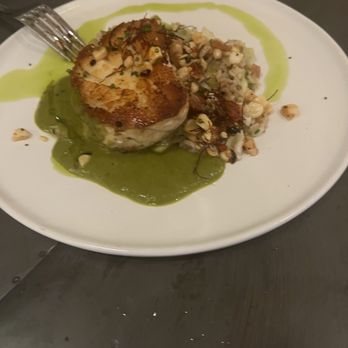 Little Bird - Black grouper special - Bars Near Me - Fairhope, Alabama Little Bird - Black grouper special - Bars Near Me - Fairhope, Alabama