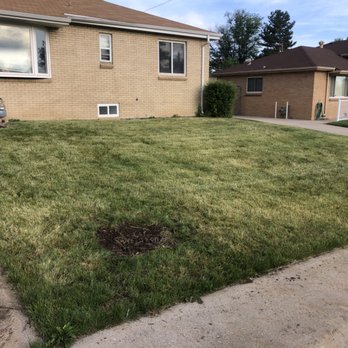 Somes Gotta Do It - Grass was yellow. After putting some compost this is day 3 - Gutter Services Near Me - Brighton, Colorado