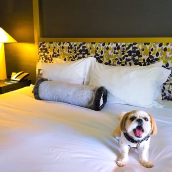 Kimpton Brice Hotel - Hotels Near Me - Savannah, Georgia
