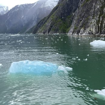 Allen Marine Tours - cool iceberg, a growler? - Tours Near Me
