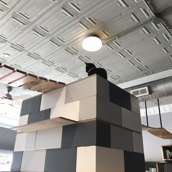 Whiskers Cat Cafe - Themed Cafes Near Me - Kansas City, Missouri Whiskers Cat Cafe - Themed Cafes Near Me - Kansas City, Missouri