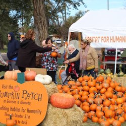 Denver Metro Habitat for Humanity Pumpkin Patch - Great for group visits!