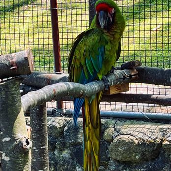 Southwick's Zoo - Amusement Parks Near Me - Mendon, Massachusetts