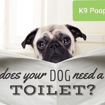 K9 Poop Hunter - Pet Waste Removal Near Me K9 Poop Hunter - Pet Waste Removal Near Me