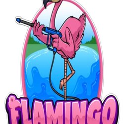 Flamingo Power Washing