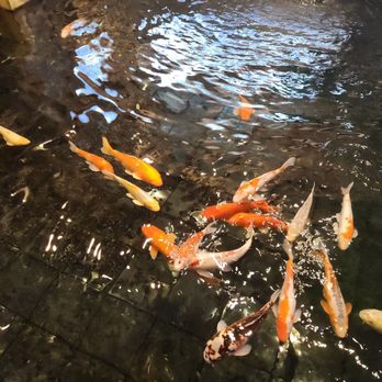 Super Moon Buffet - Buffets Near Me - Saint Louis Park, Minnesota